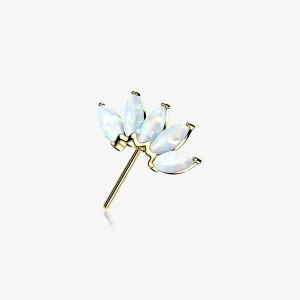 14 Karat Gold OneFit Threadless Brilliant Marquise Fire Opal Flower Front Facing Part