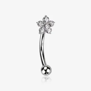 14 Karat White Gold Prong Set Brilliant Flower Gem Sparkle Curved Barbell