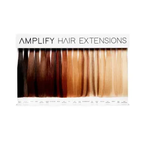 Amplify Color Swatch Display