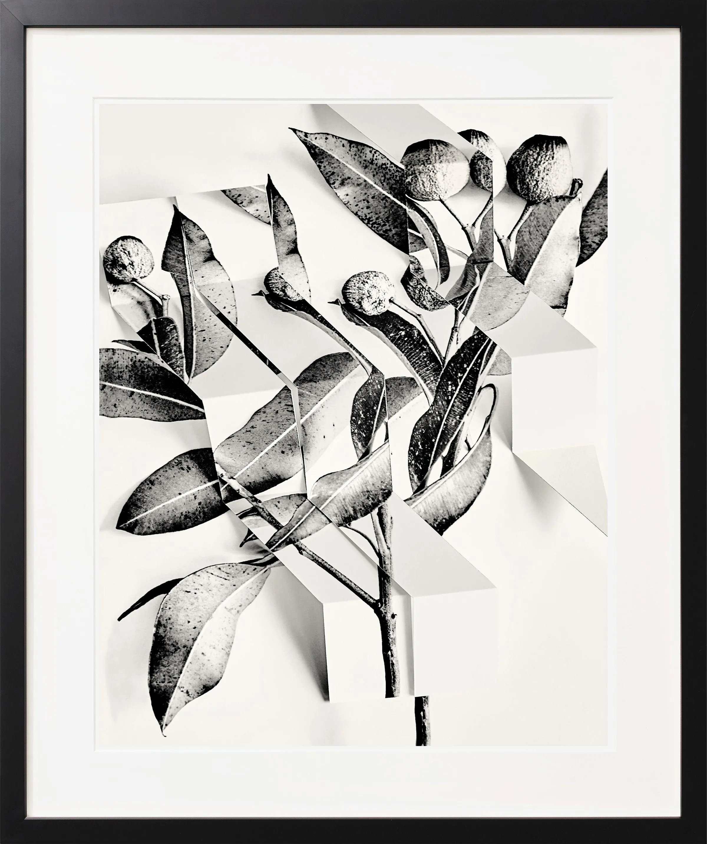 Arrangement 5