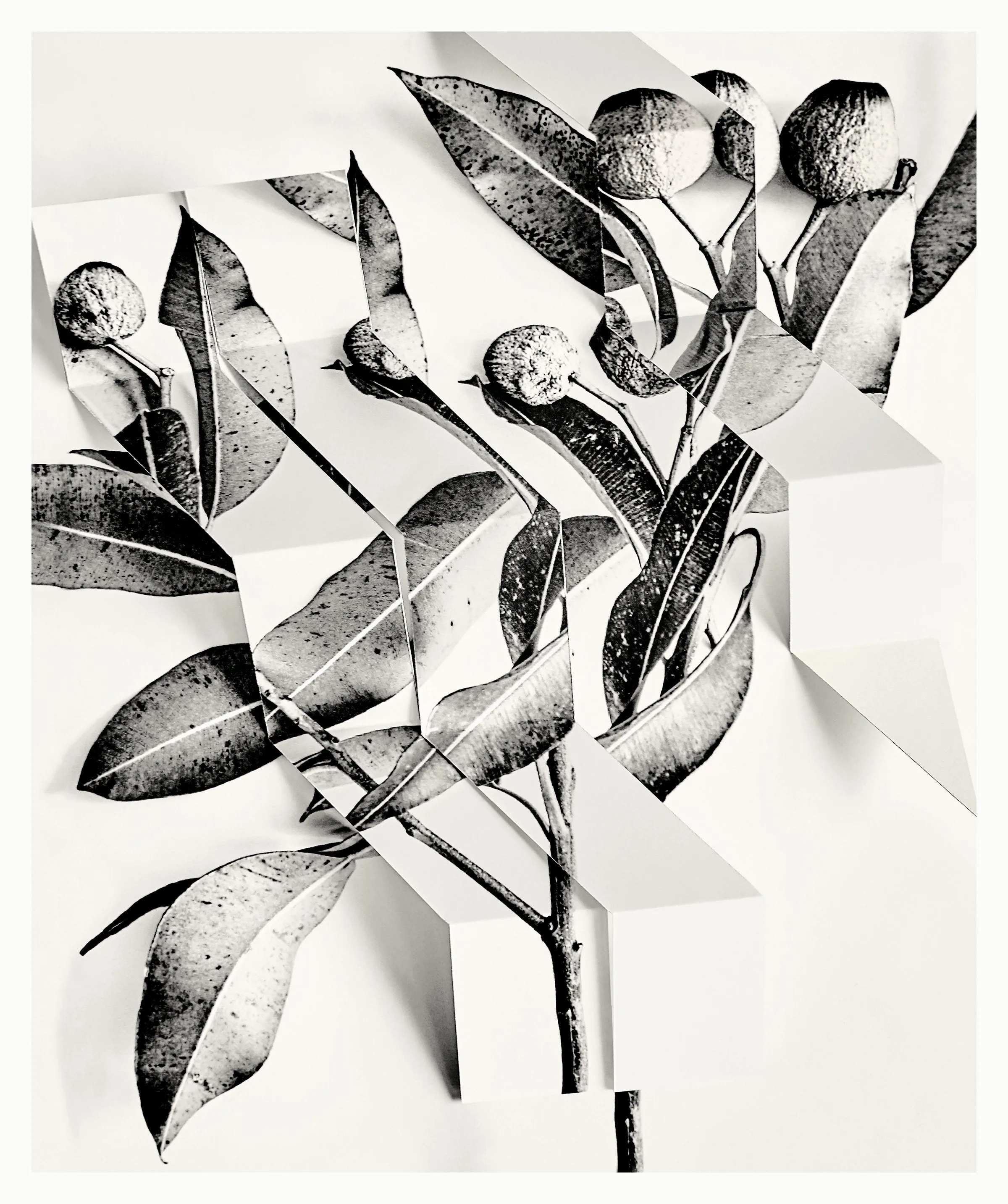 Arrangement 5