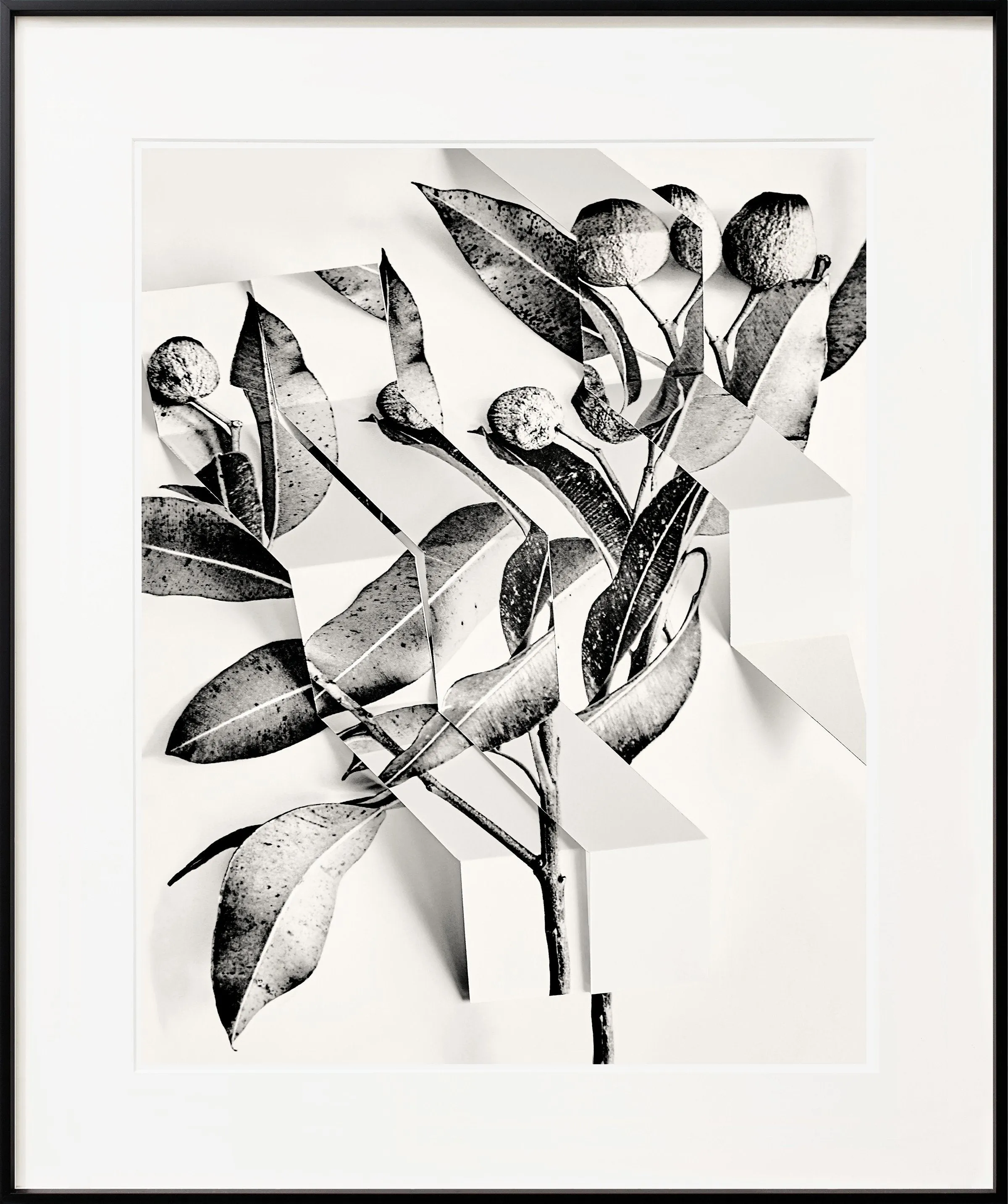 Arrangement 5