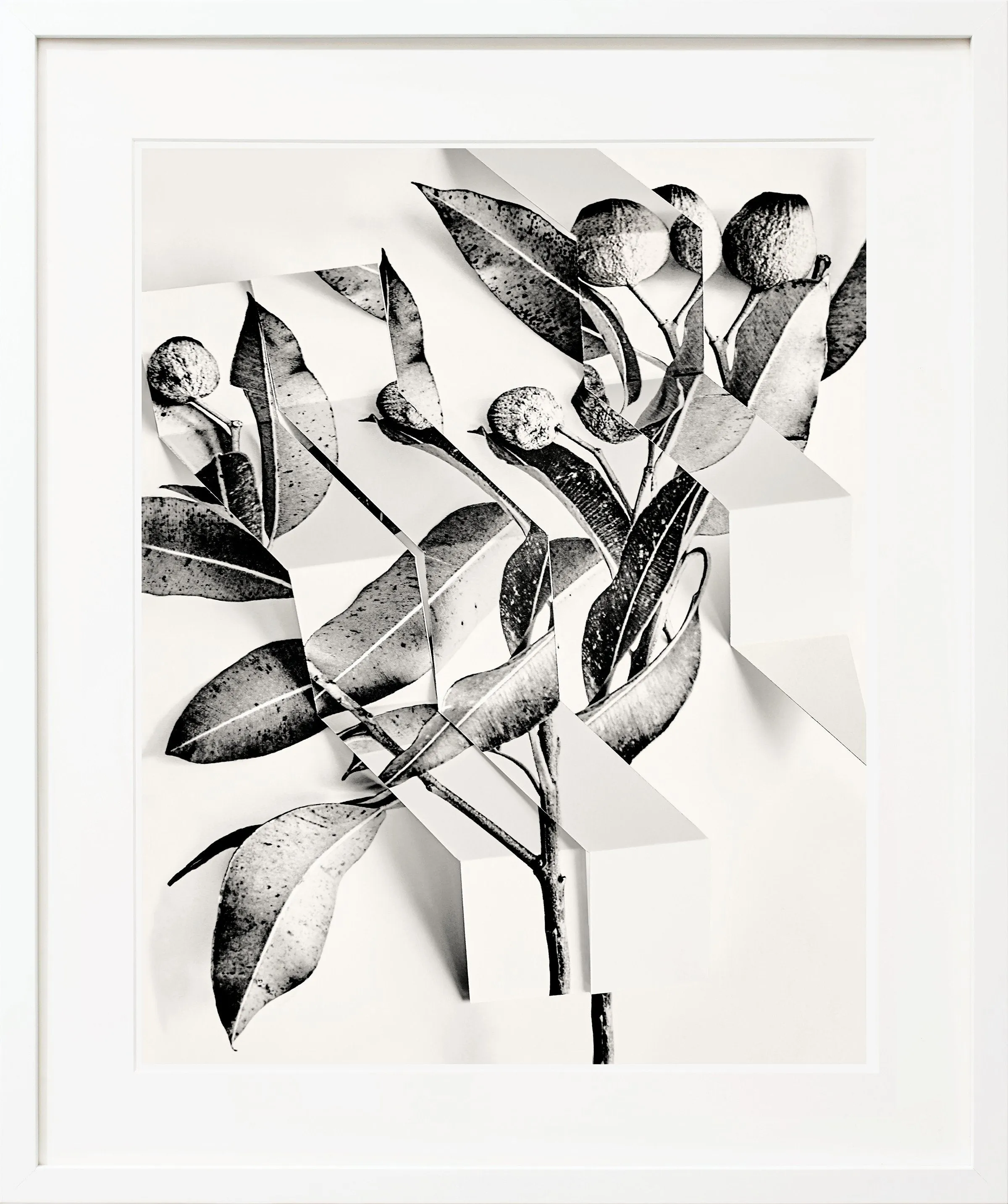 Arrangement 5