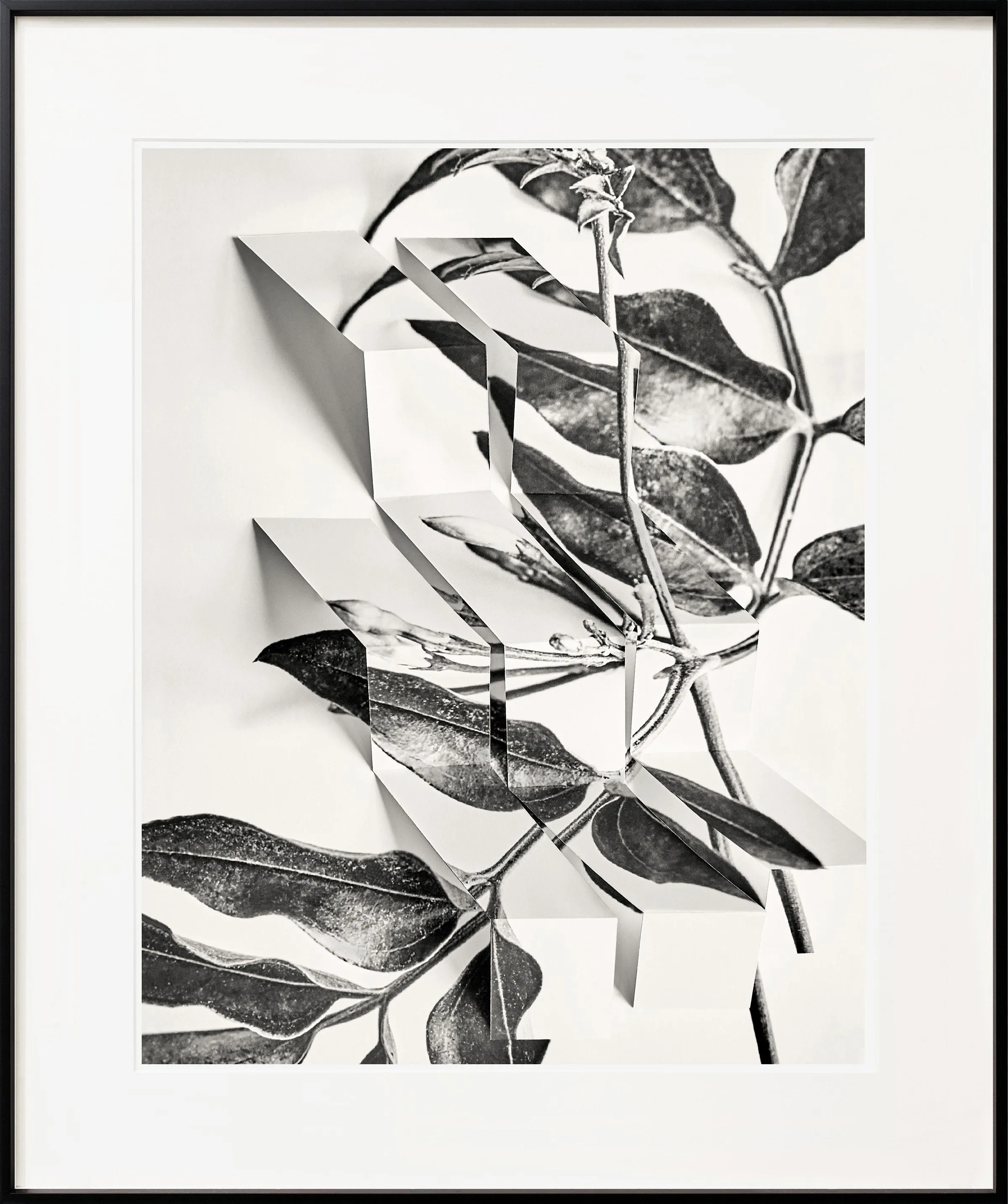 Arrangement 8