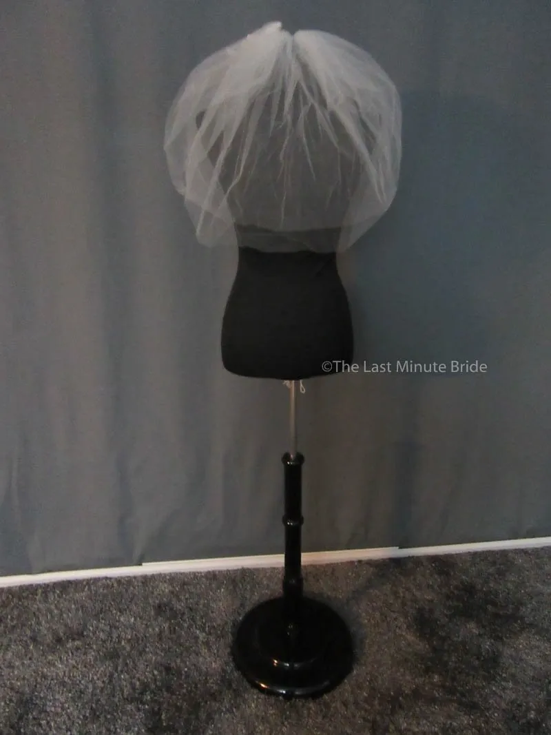 Bridal Veil: VTV1109