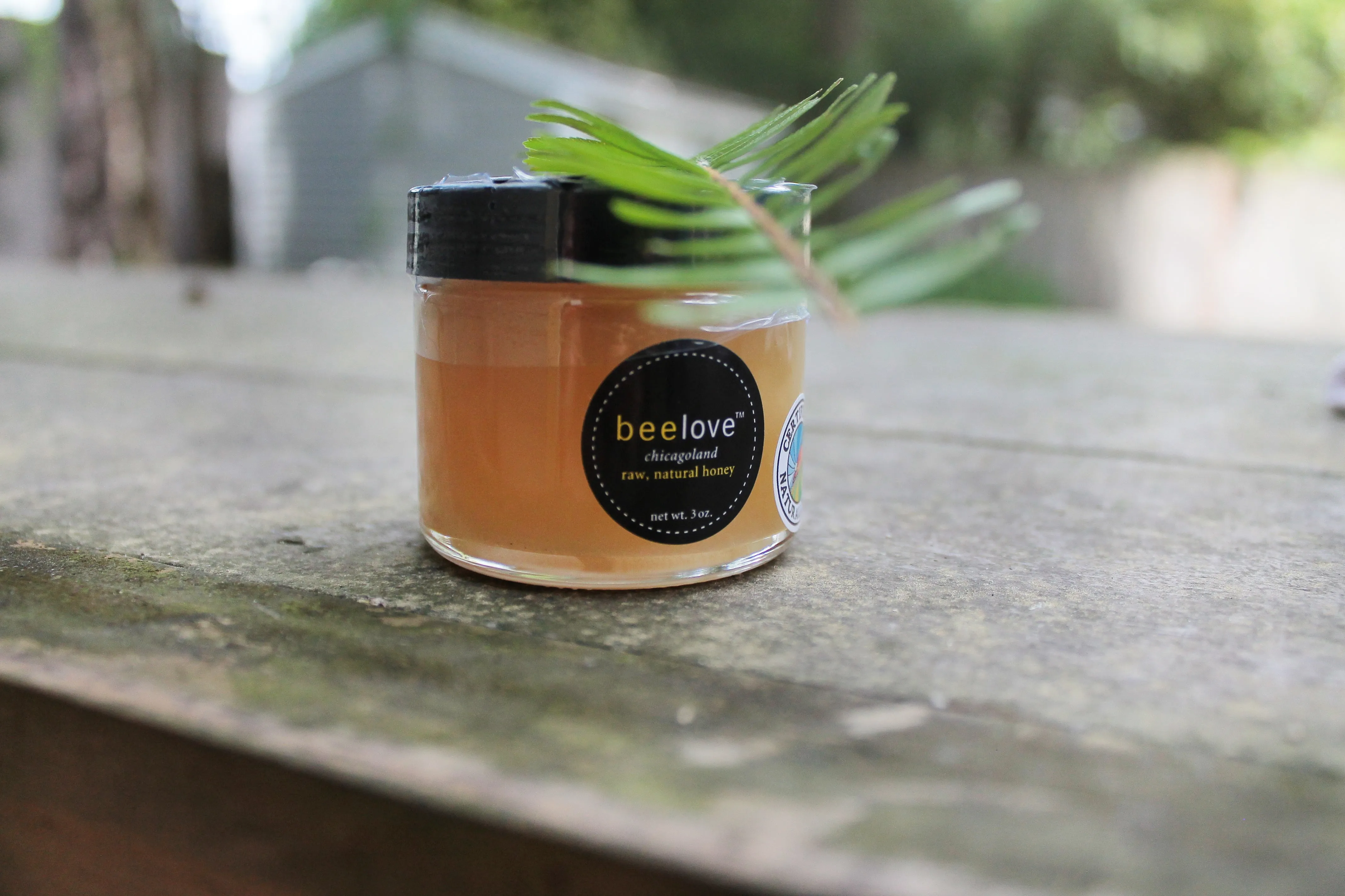 Chicagoland Raw Honey 12 oz