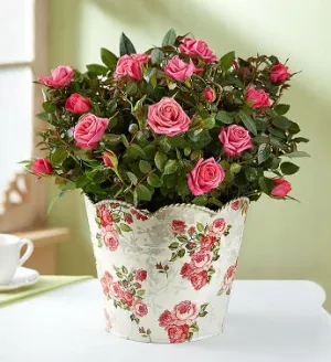 Classic Budding Rose, Large