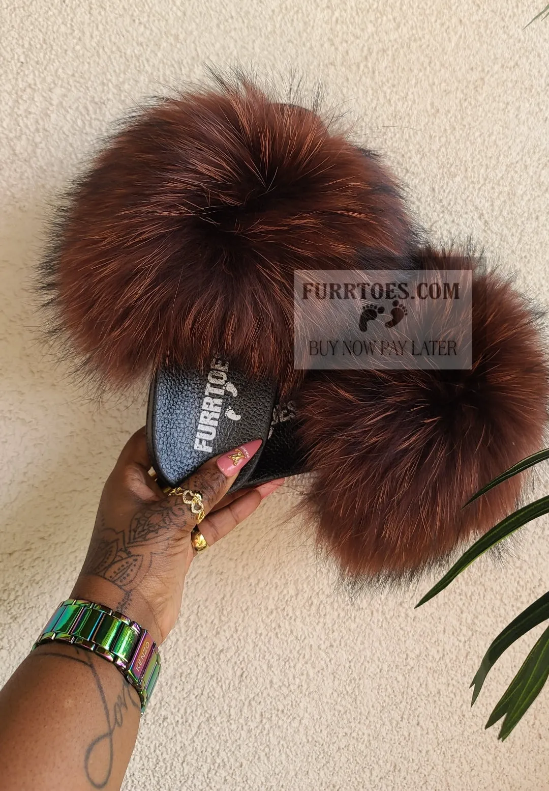 Coco Bean Fluffy
