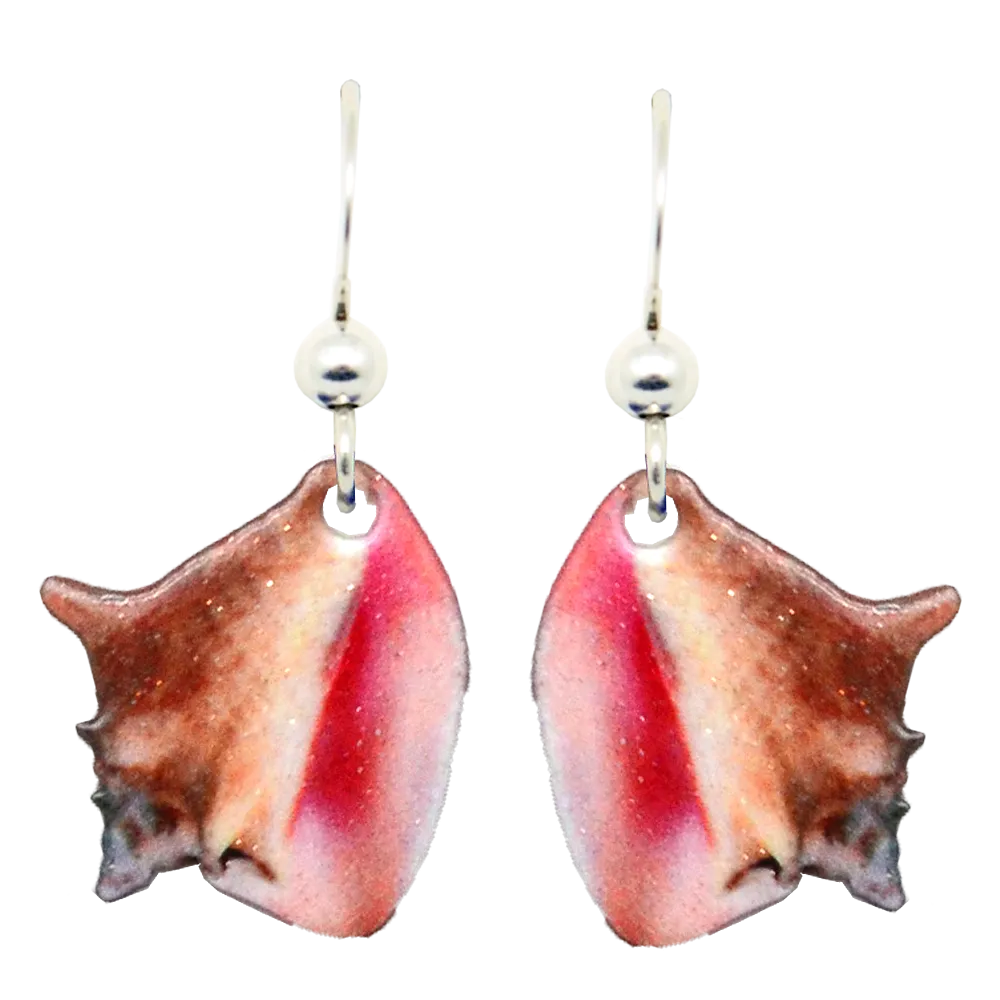 Conch Shell Earrings, sterling silver French hooks, Item# 2176