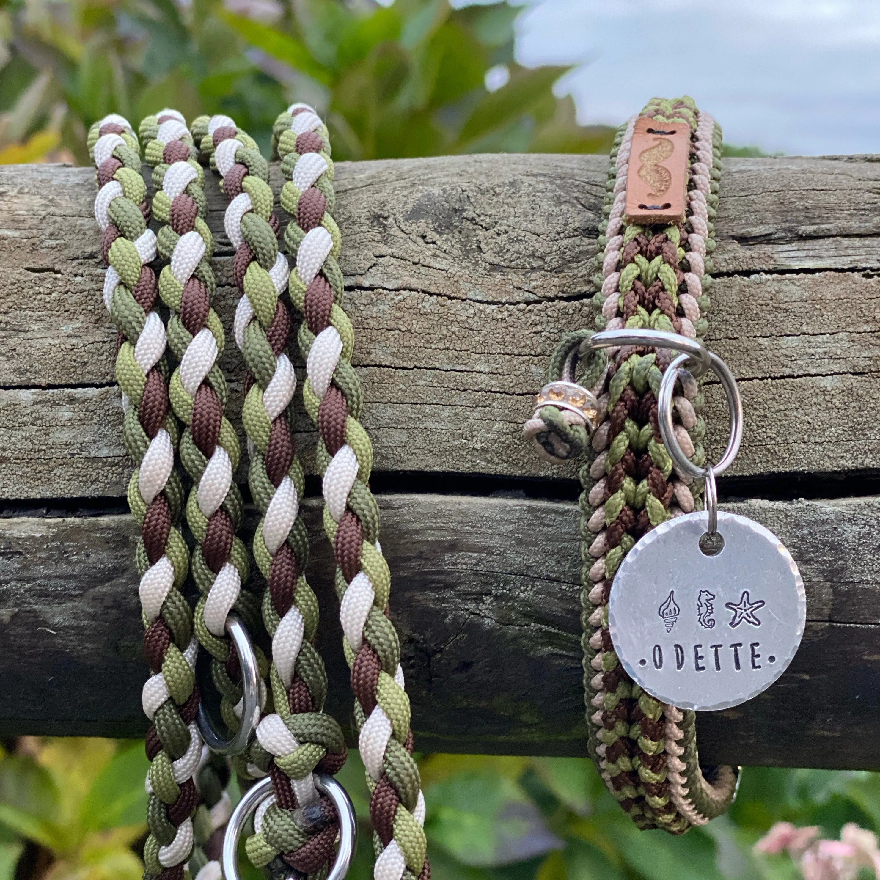 Coral - Summer Collection