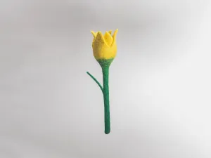 Discover the Timeless Beauty of Felt Flowers