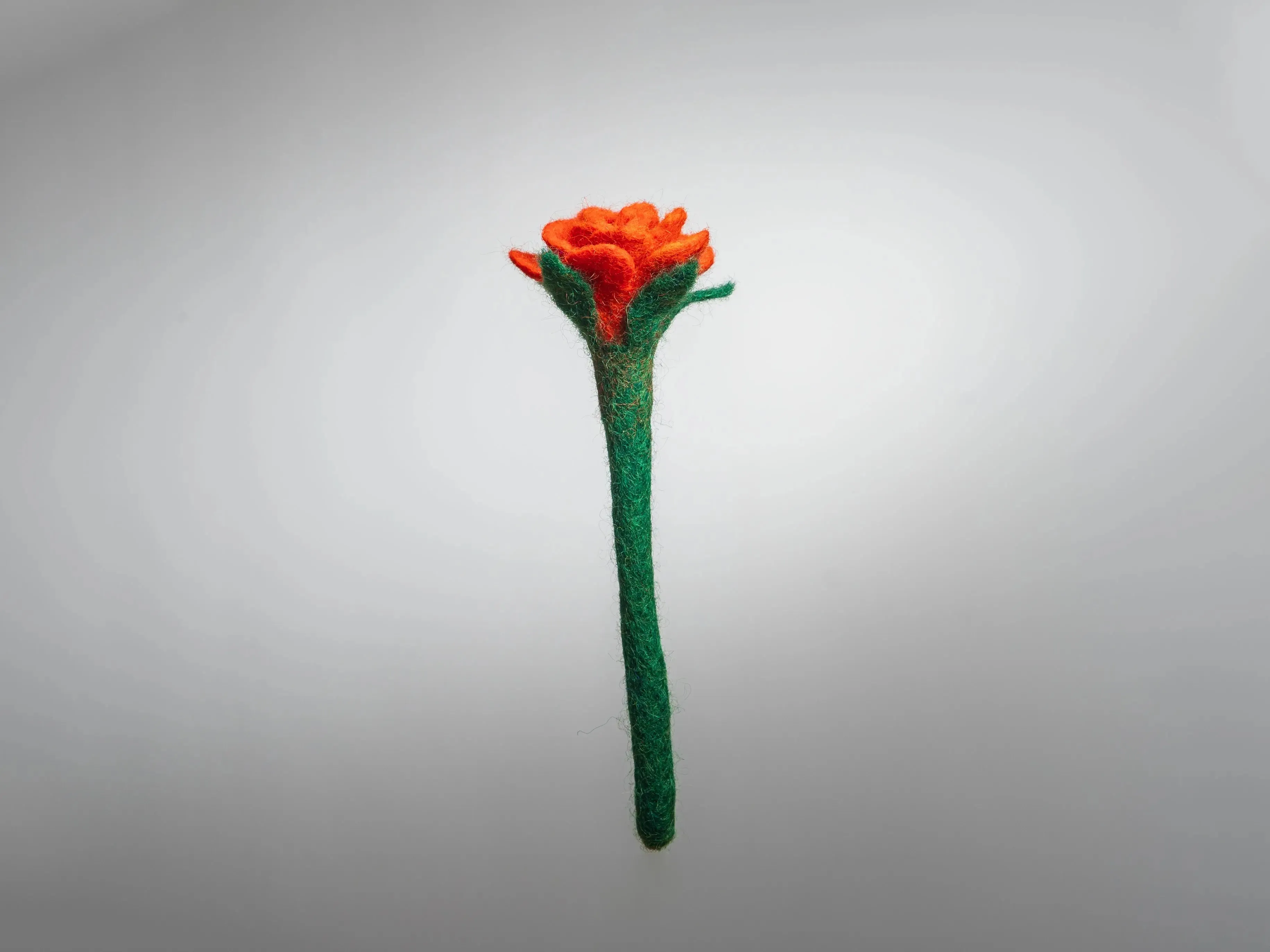 Discover the Timeless Beauty of Felt Flowers