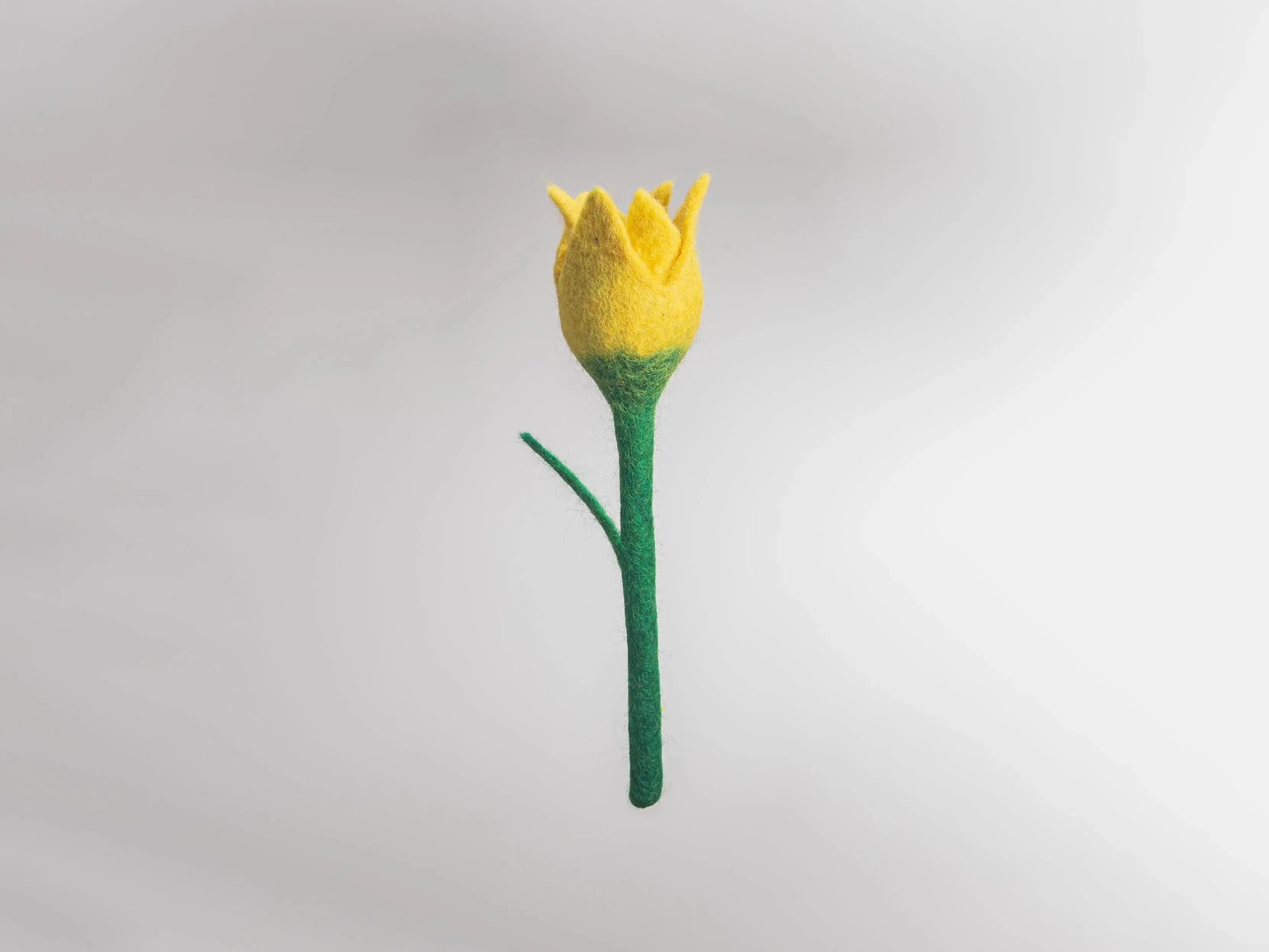 Discover the Timeless Beauty of Felt Flowers