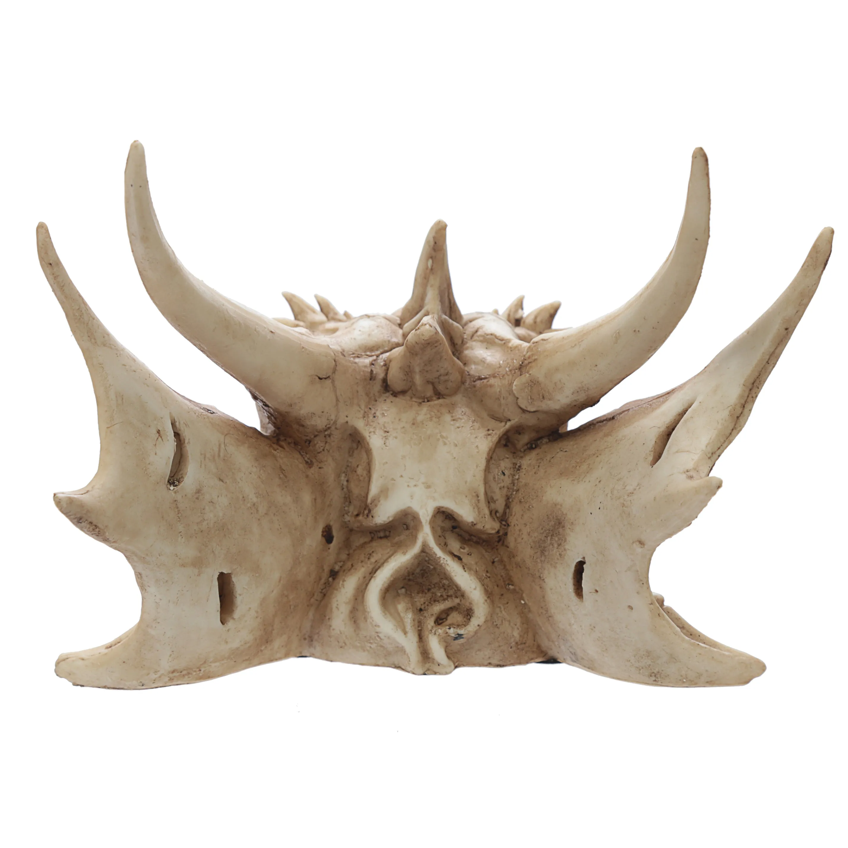 Dragon Skull Decoration