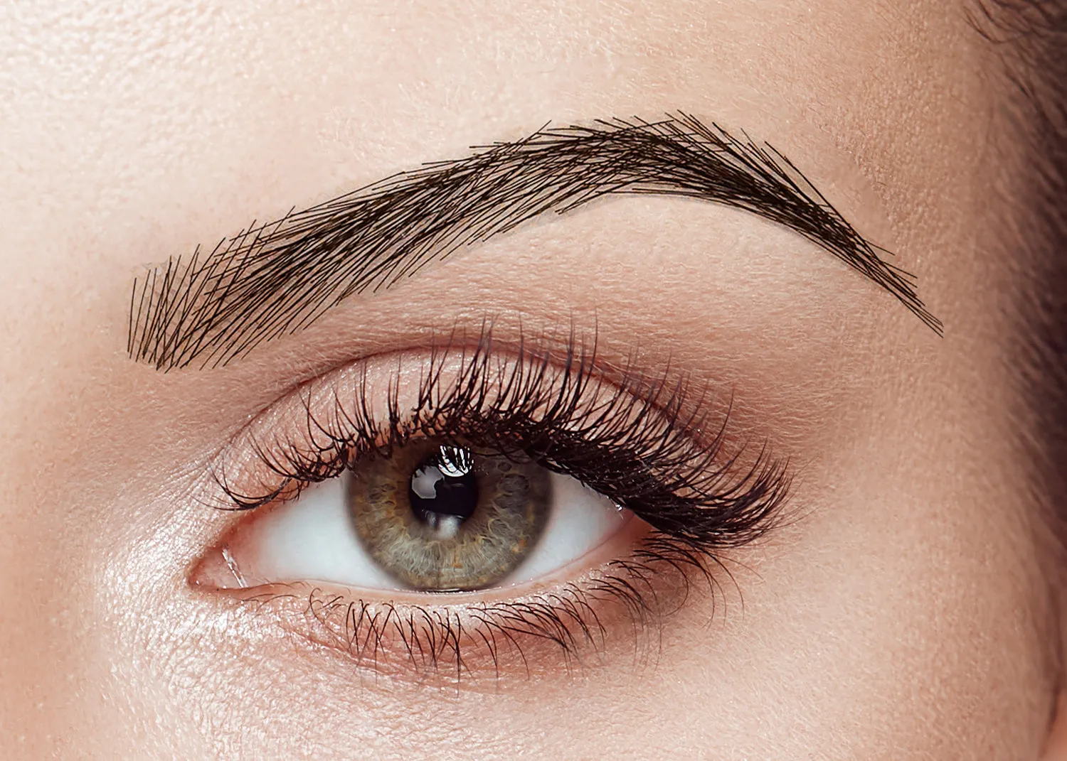 Hollywood 02 (Dark Brown)