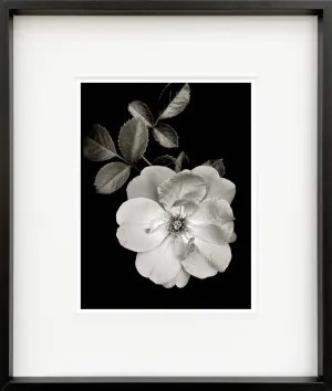 Joan Framed Mini Print