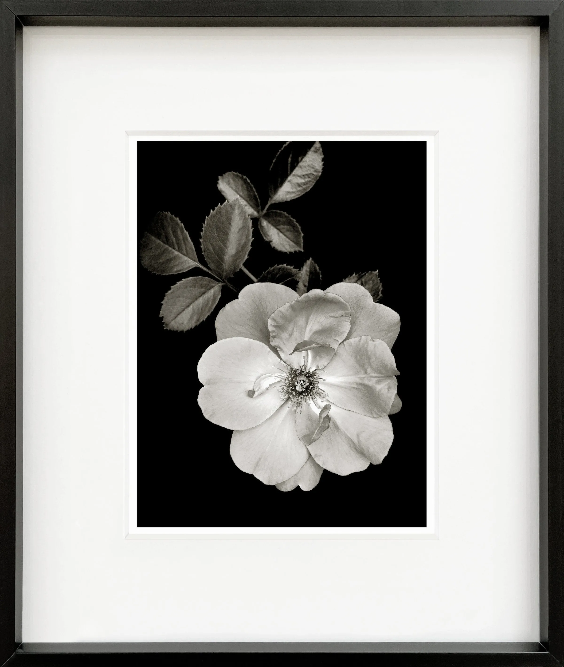 Joan Framed Mini Print