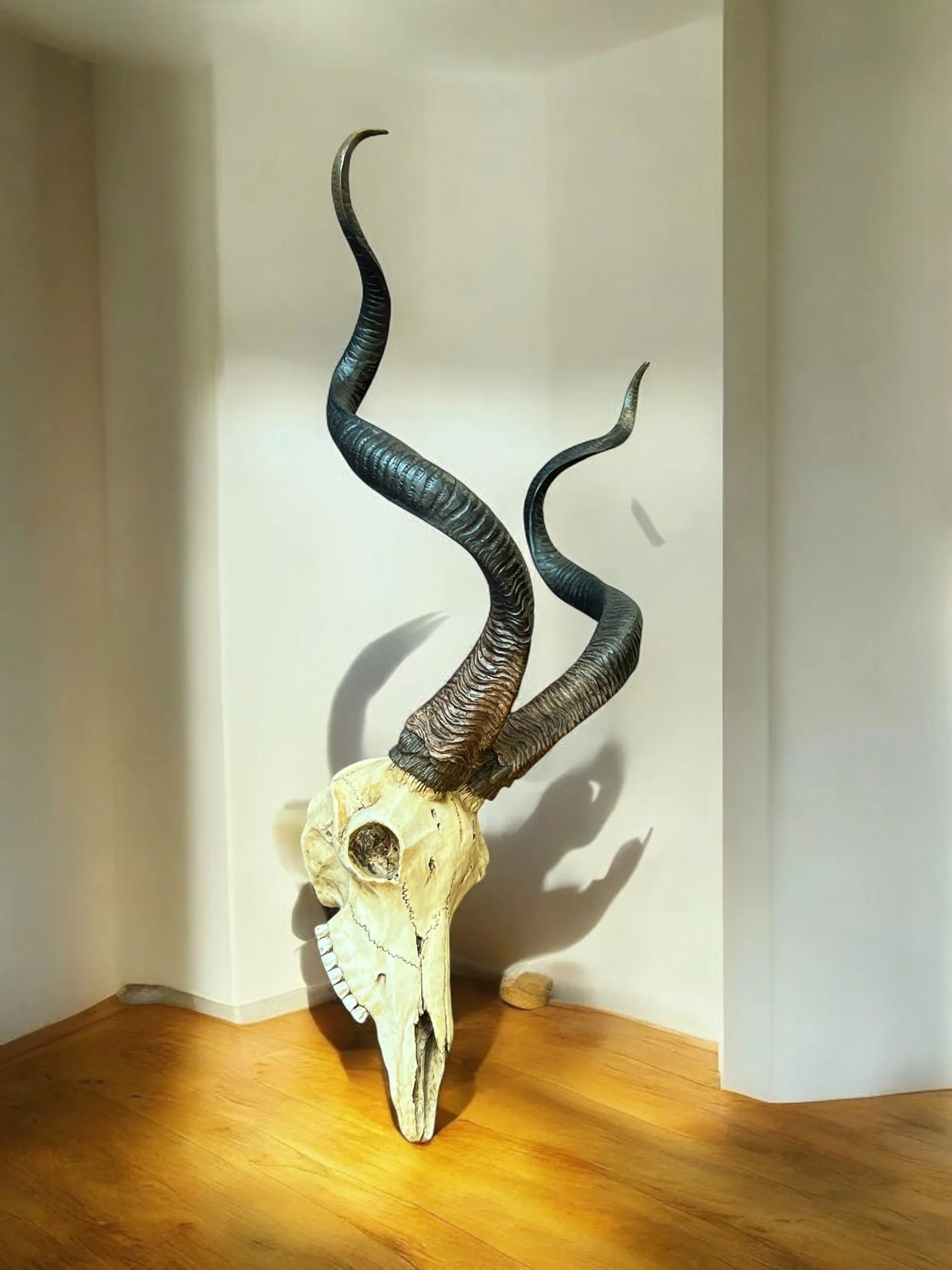 Kudu Skull Wall Plaque - Veronese Design - Corsican Ram Skull