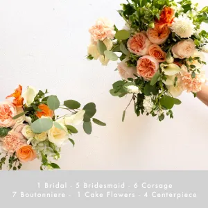 Large Package | Coral Blossom