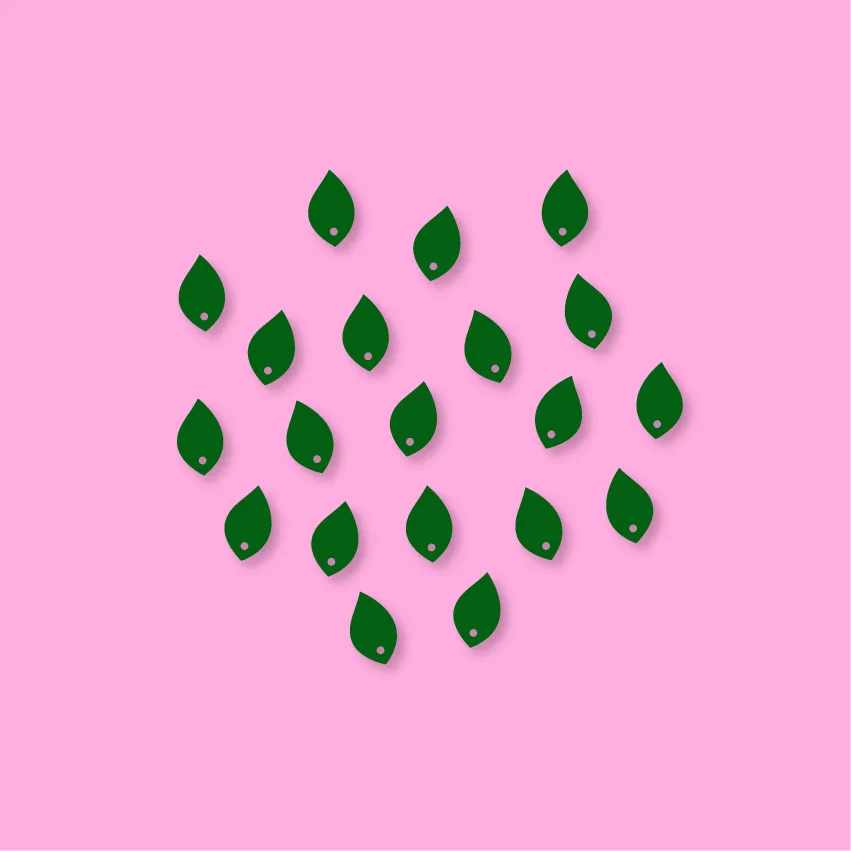 Little Leaf - 12 Pair Set