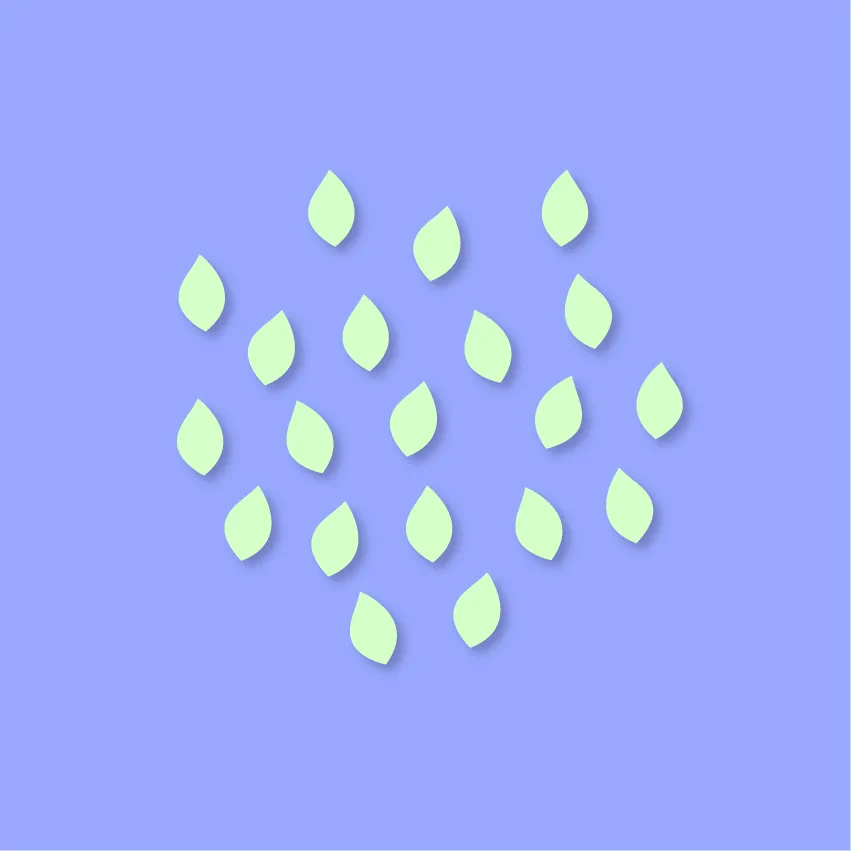 Little Leaf - 12 Pair Set