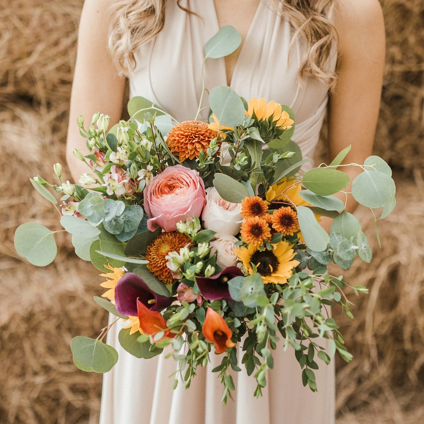 Medium Package | Autumn Sunrise