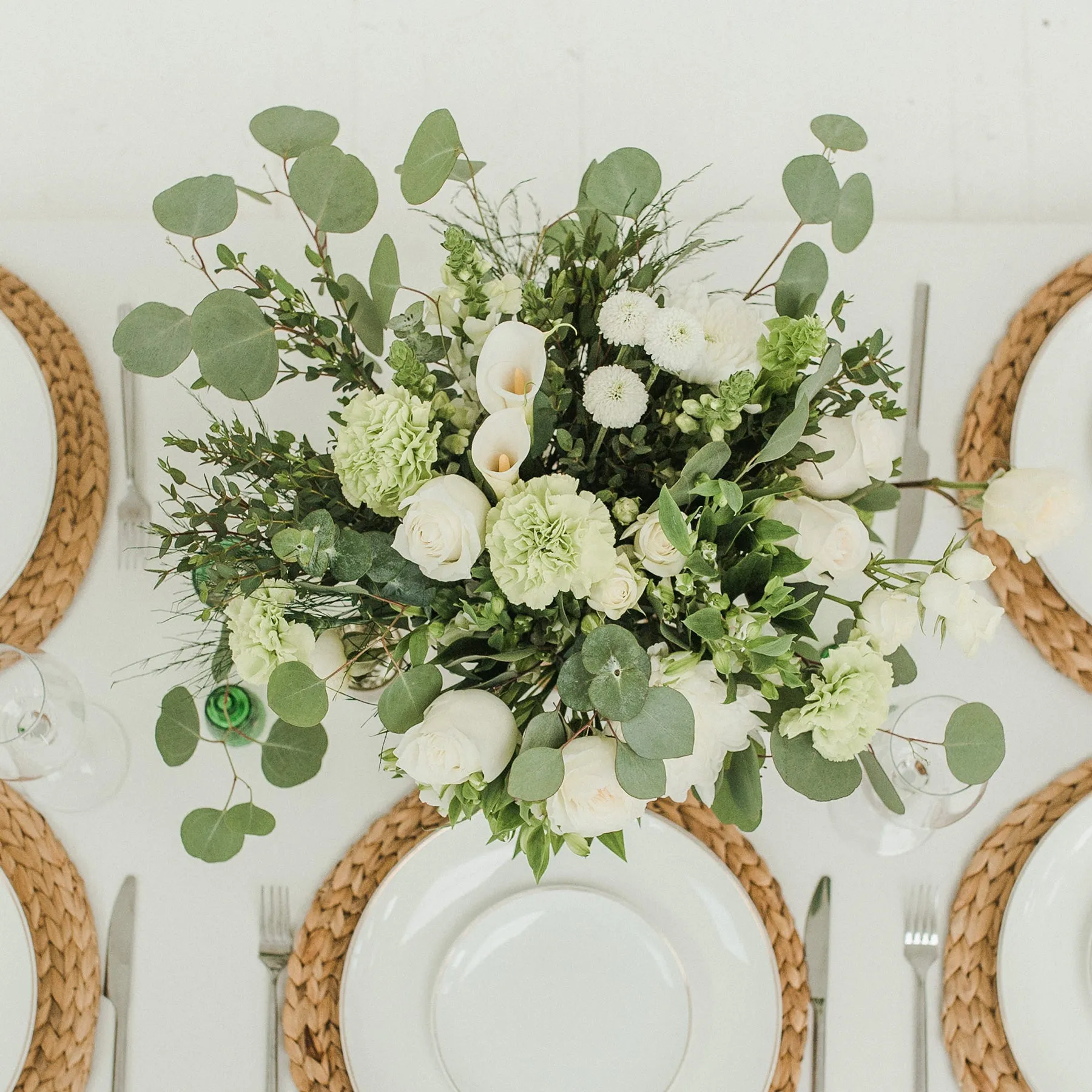 Medium Package | Bohemian Green