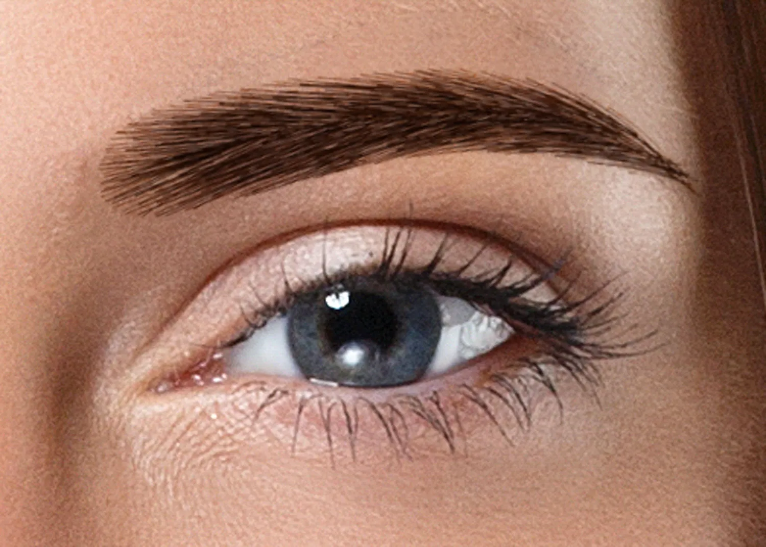 Miami 02 (Dark Brown)
