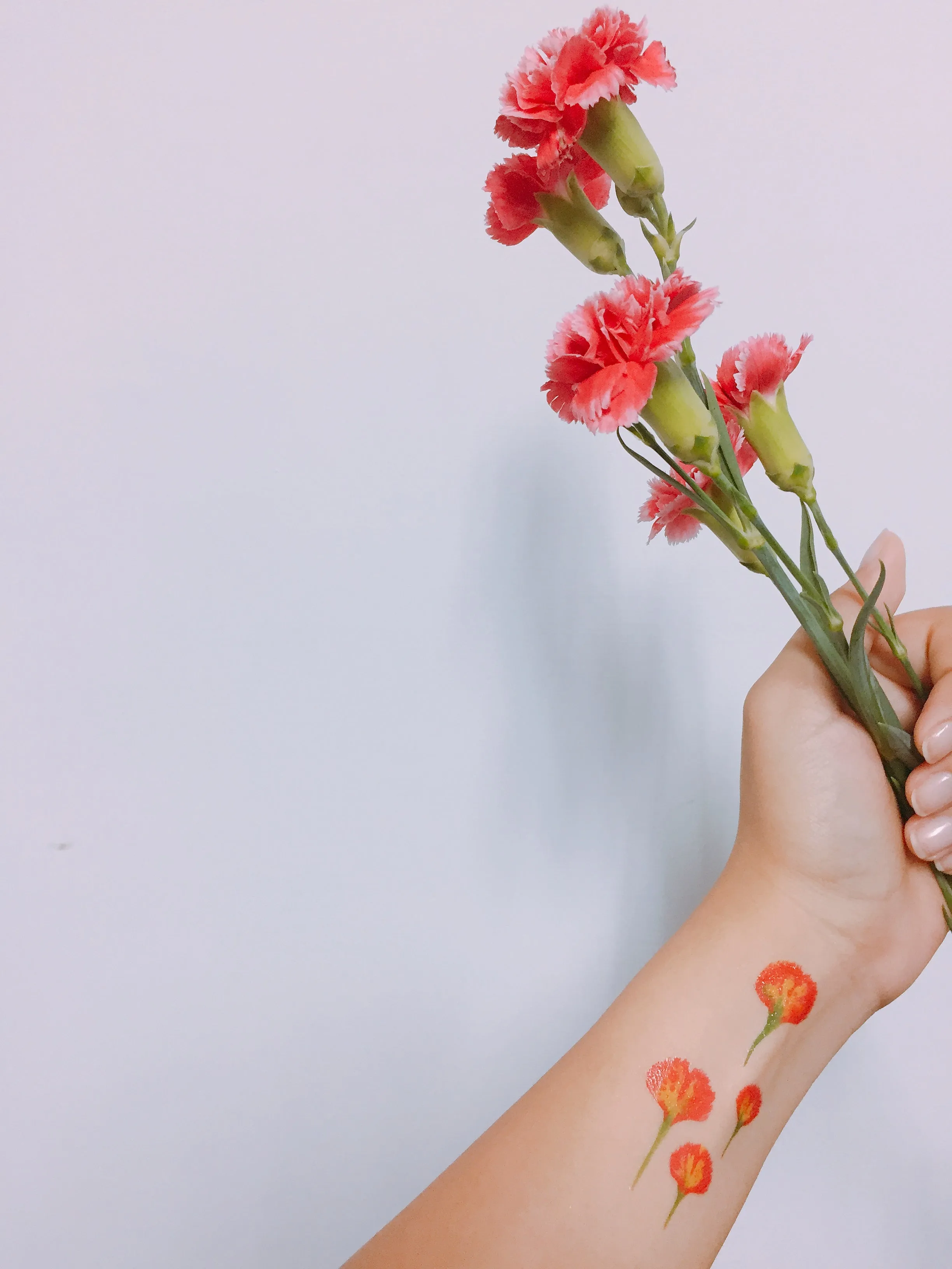 My Jewellery Box - Pink Pinks by Jessica Man Temporary Tattoo