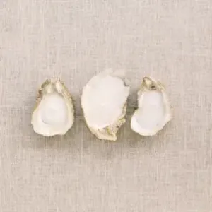 Oyster Shell Candle - Beach Bonfire