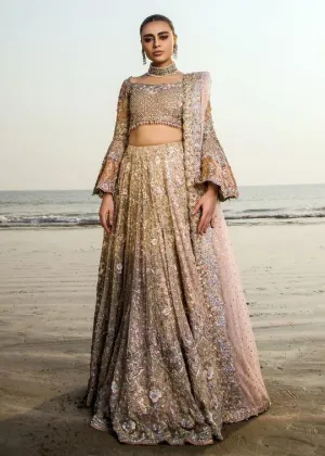 Pakistani Designer Wedding Lehnga Choli #C2039