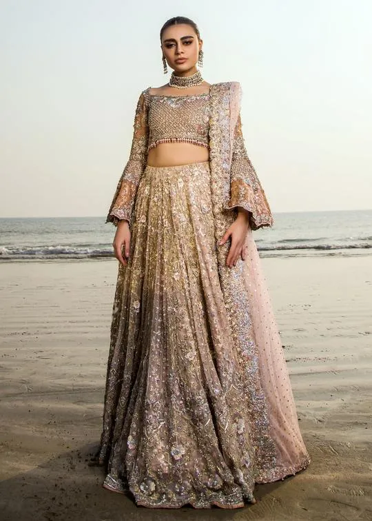 Pakistani Designer Wedding Lehnga Choli #C2039