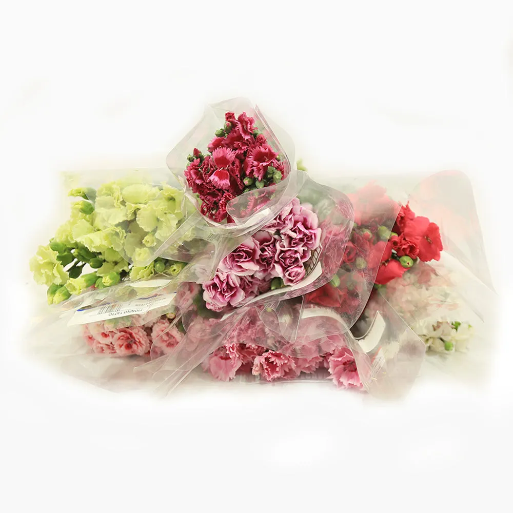 Pinks | Dianthus Flowers
