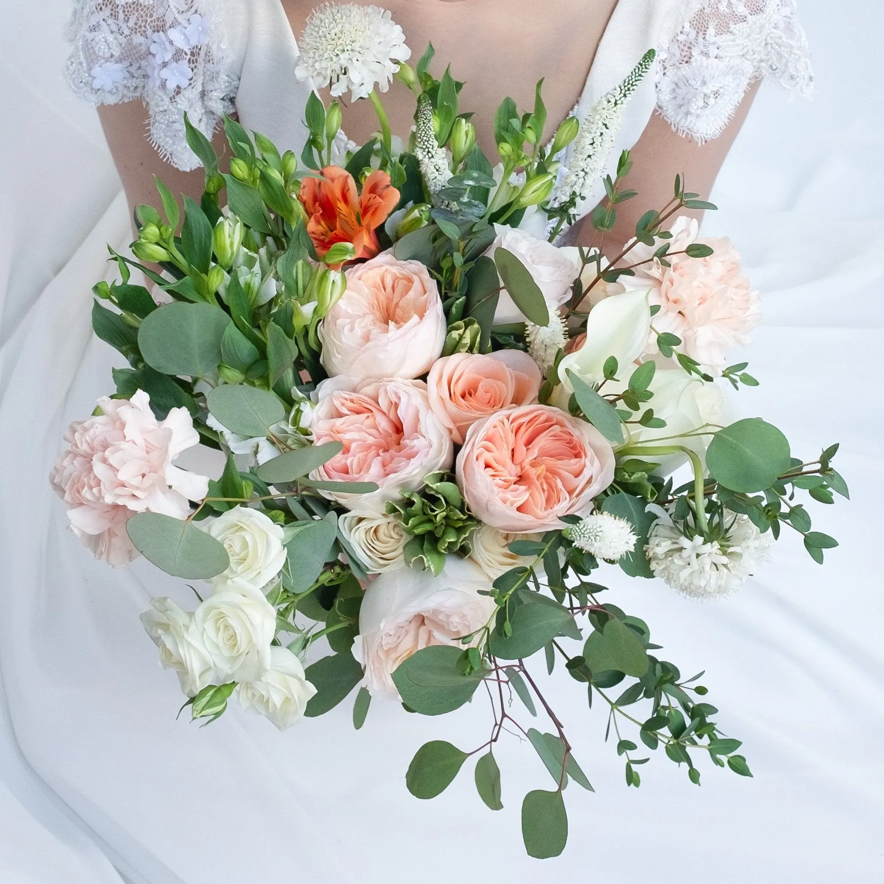 Regular Package | Coral Blossom