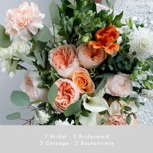 Regular Package | Coral Blossom