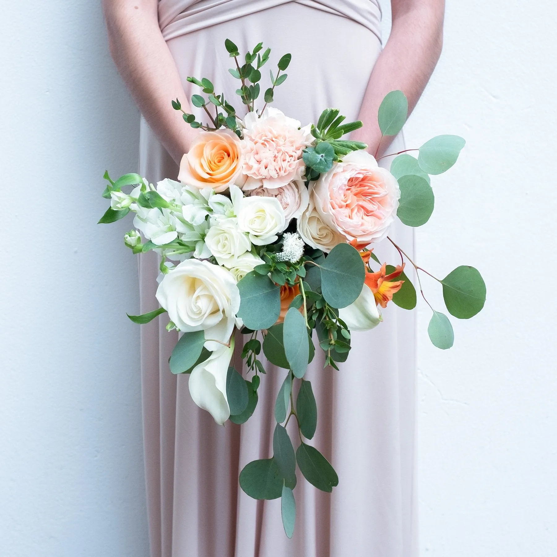 Regular Package | Coral Blossom
