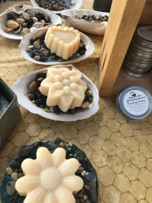 Soap Dish