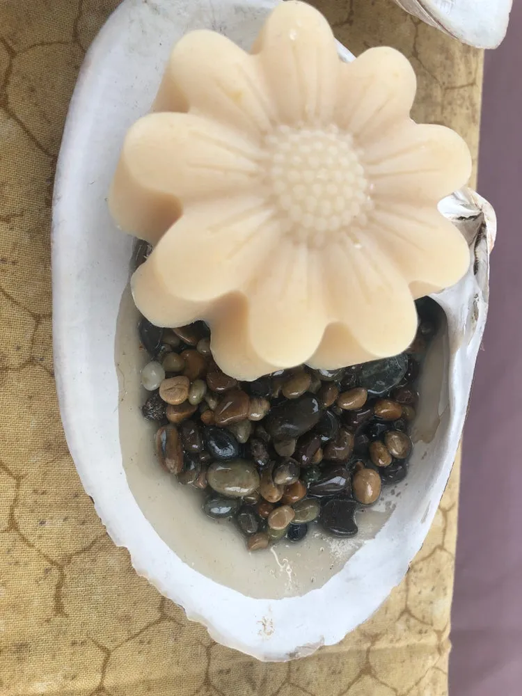 Soap Dish