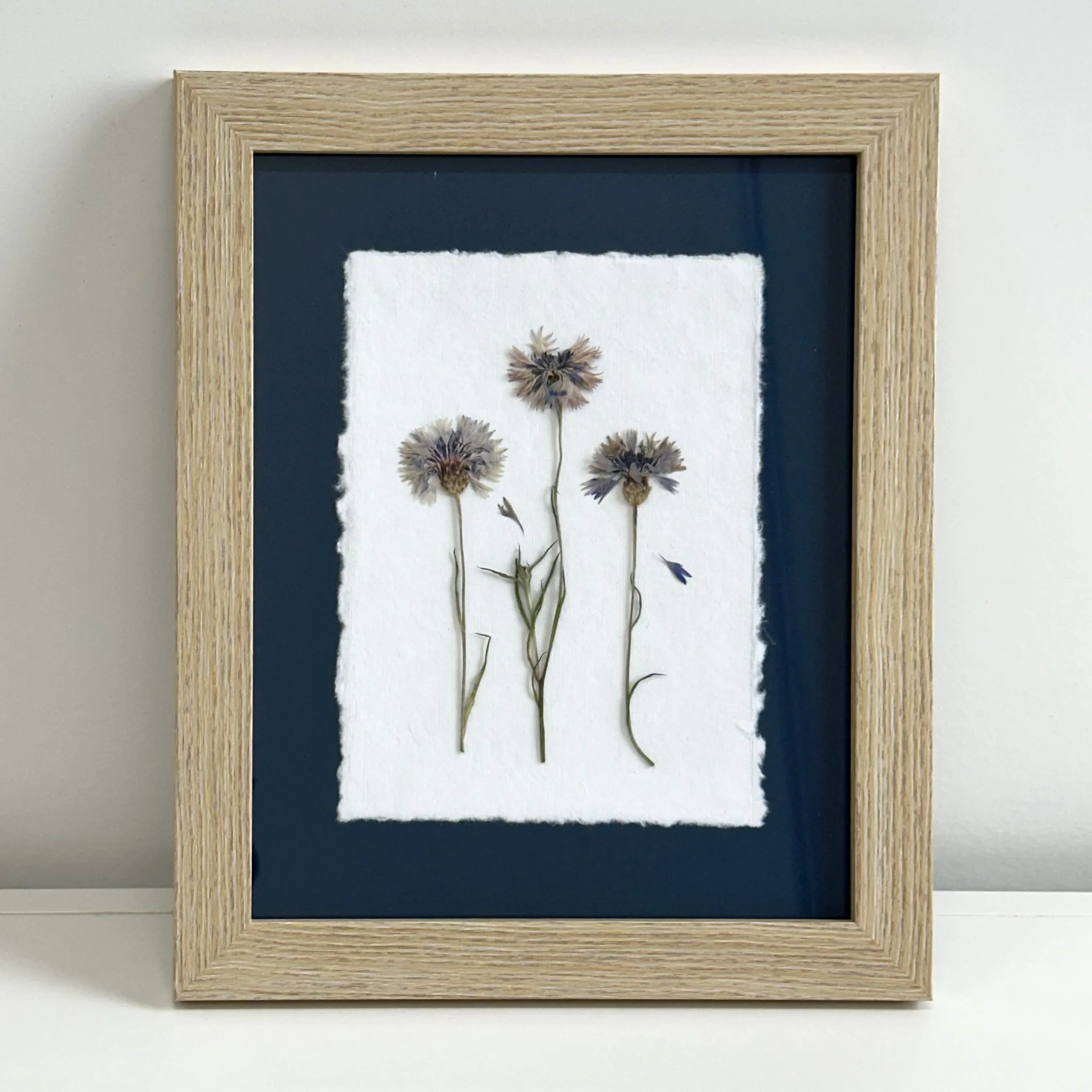 The Botanical Collective "Cornflowers"