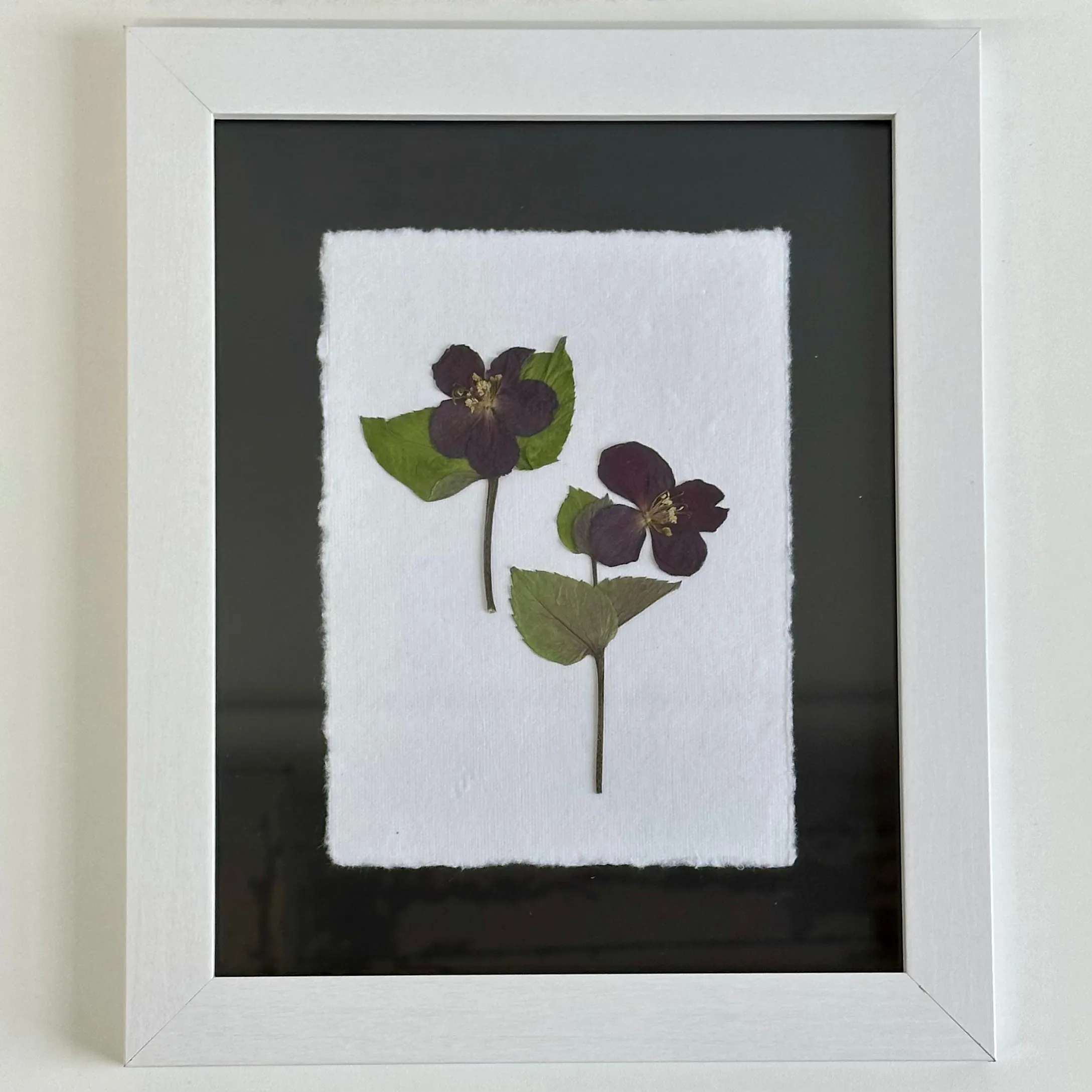The Botanical Collective "Hellebore"
