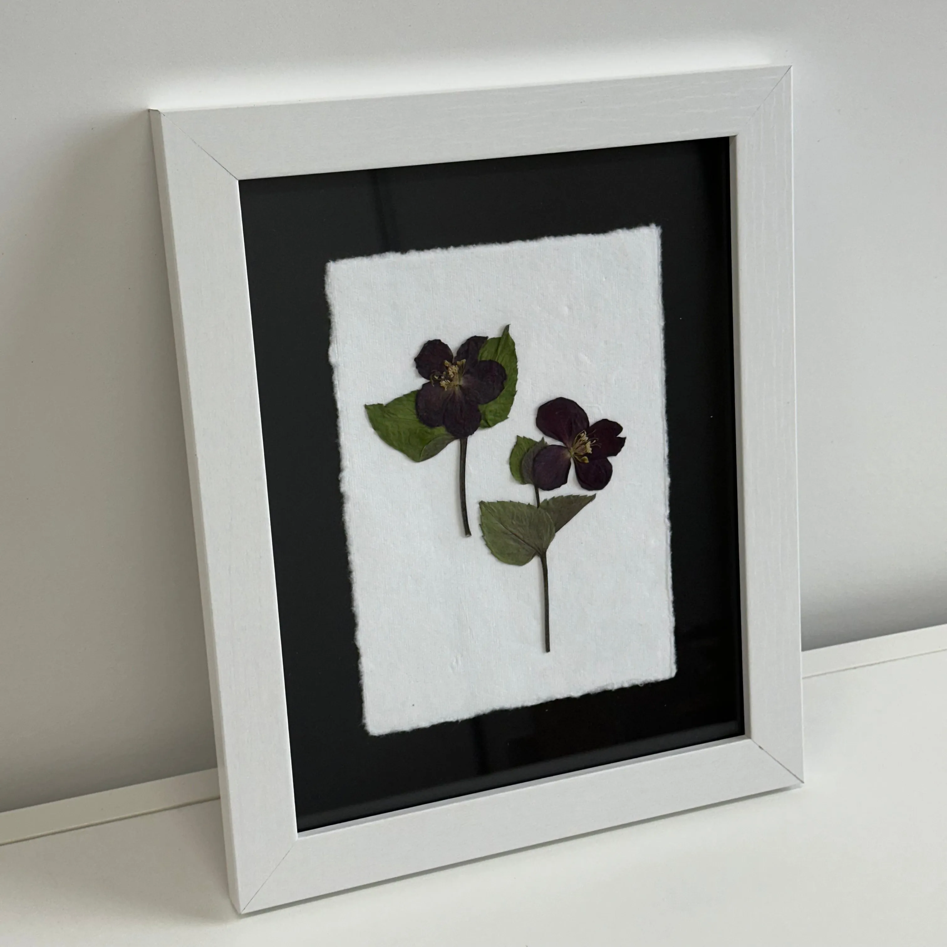 The Botanical Collective "Hellebore"