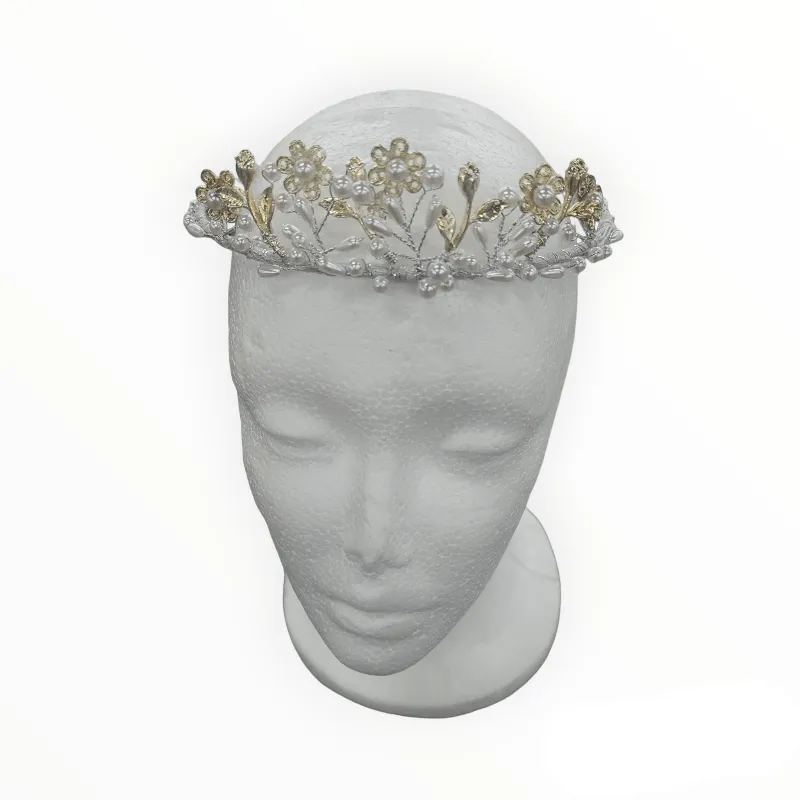 Tiara Dsn 1