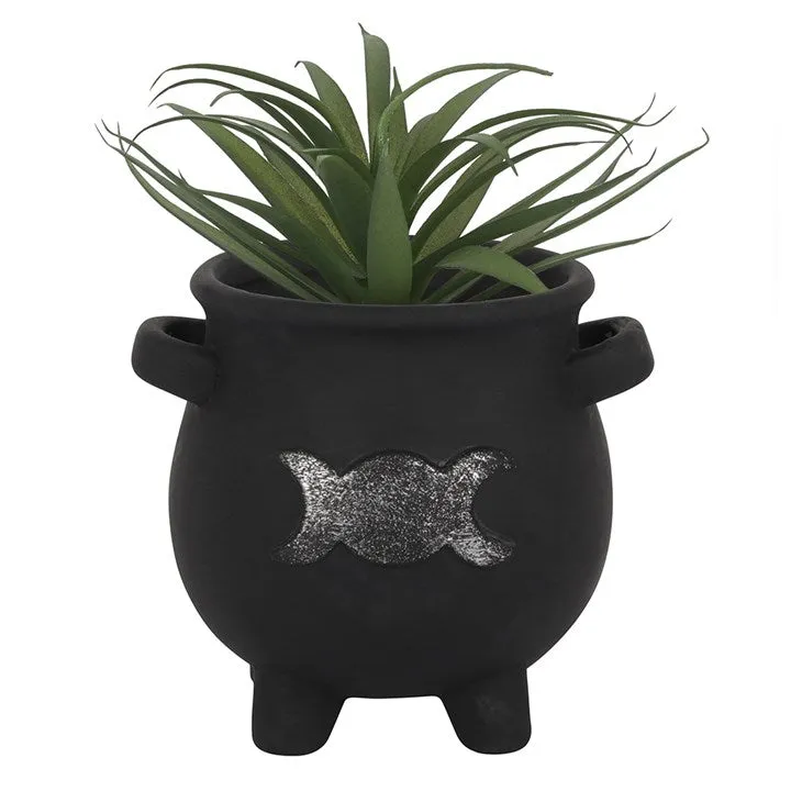 Triple moon terra cotta plant pot