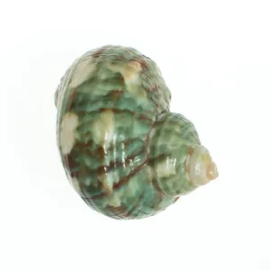 Vintage Green and White Seashell Pendant