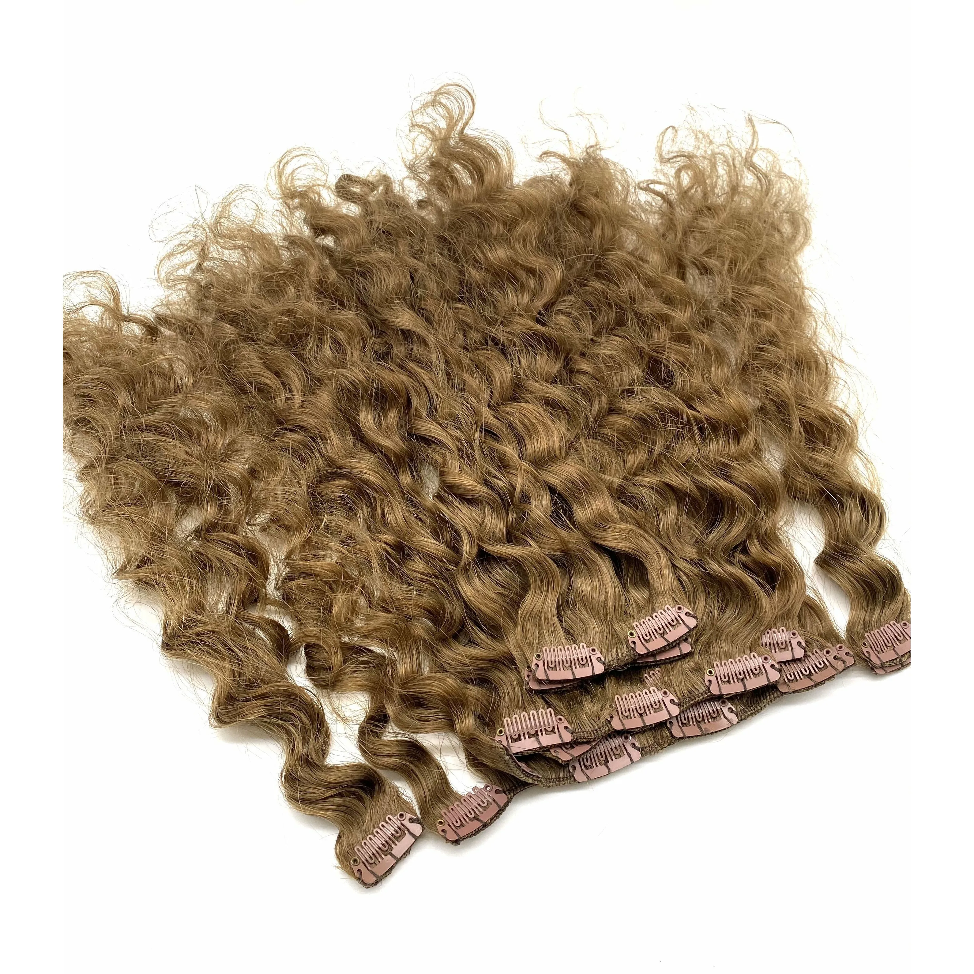 VIP Clip Extensions  / French Wave 18" ClipeX System