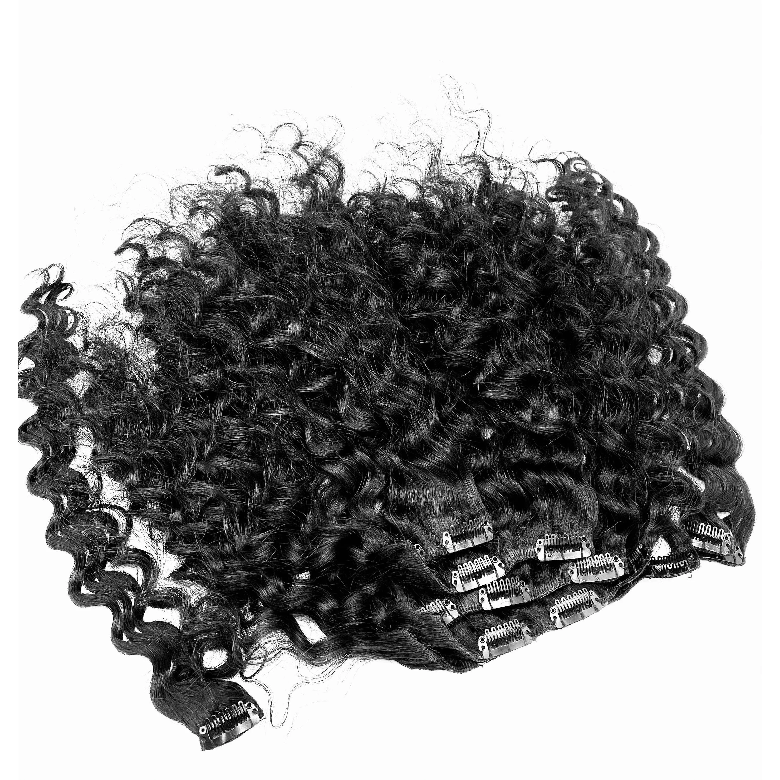 VIP Clip Extensions  / French Wave 18" ClipeX System
